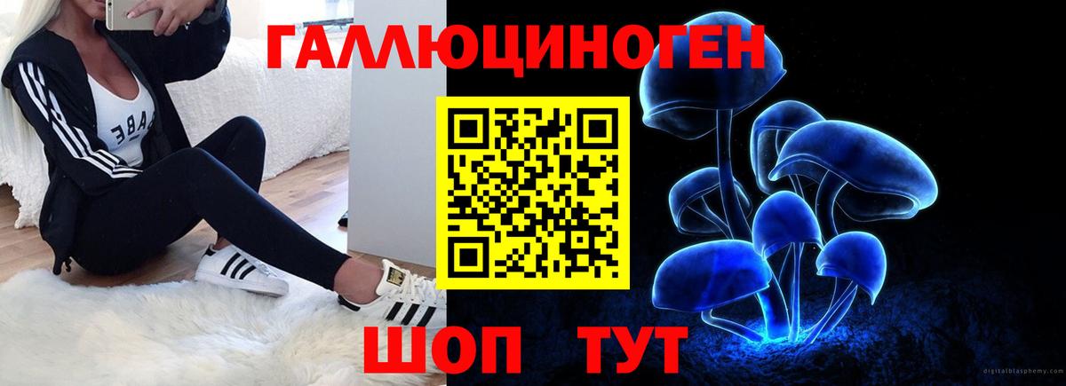 Пушкино  Псилоцибиновые грибы Psilocybe  Вход с VPN 